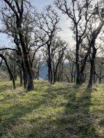 IMG_5556.jpeg