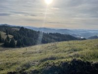IMG_5554.jpeg