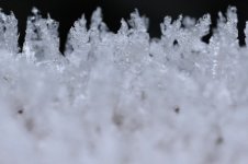 DSC_5358.jpeg
