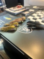 IMG_7690.jpeg