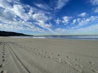 IMG_6921.jpeg