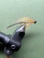 IMG_7691.jpeg