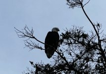 IMG_5514.jpeg