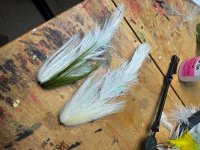 IMG_0898.jpeg