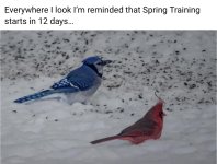 IMG_8766.jpeg