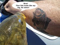 Carp commentng on tattoo.jpg