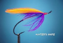 Winter's Hope.jpg Winter's Hope.jpg