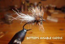 Better's Ausable Caddis.jpg Better's Ausable Caddis.jpg