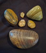 20260131_090458.jpg