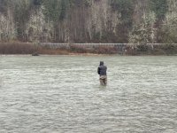 IMG_3696.JPG