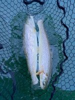IMG_6566.jpeg IMG_6566.jpeg