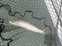 IMG_2407.jpeg IMG_2407.jpeg
