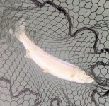 IMG_2406.jpeg IMG_2406.jpeg