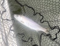 IMG_2404.jpeg IMG_2404.jpeg
