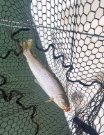 IMG_2400.jpeg IMG_2400.jpeg