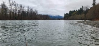 Skagit.jpg