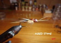 Wired Stone.jpg Wired Stone.jpg