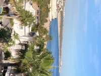 IMG_0677.jpeg