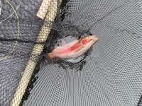 IMG_5654.jpeg