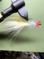 IMG_7726.jpeg