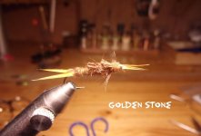 Golden Stone.jpg