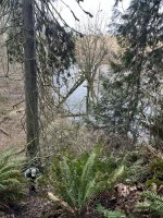IMG_5959.jpeg