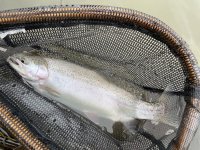 IMG_6960.jpeg