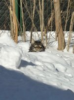 IMG_1317.jpeg IMG_1317.jpeg