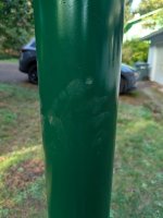 Bird feeder post, visitor.jpg Bird feeder post, visitor.jpg