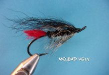 McLeod Ugly.jpg