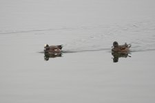 DSC00909.JPG