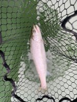 IMG_6653.jpeg IMG_6653.jpeg