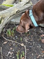 IMG_3833.jpeg IMG_3833.jpeg