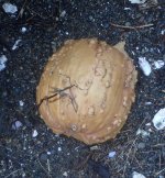 IMG_5605.jpeg