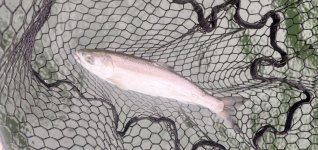 IMG_2453.jpeg IMG_2453.jpeg
