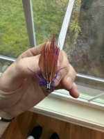 IMG_3668.jpeg