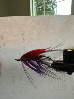 IMG_3670.jpeg