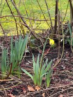 IMG_1359.jpeg
