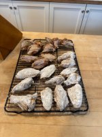 IMG_1356.jpeg