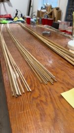 roughed strips 2.jpg roughed strips 2.jpg
