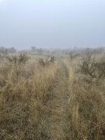 IMG_6985.jpeg