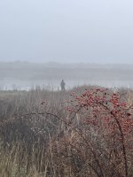 IMG_6989.jpeg