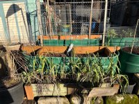 IMG_8792.jpeg