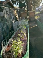 IMG_8787.jpeg