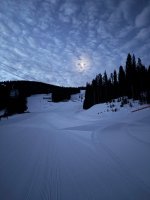 IMG_0210.jpeg