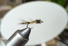 PXL_20260212_184411604.jpg