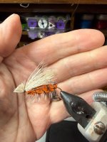 IMG_1025.jpeg