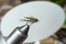 PXL_20260212_224533096.jpg