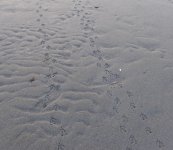 IMG_5649.jpeg IMG_5649.jpeg