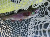 1000012796.jpg